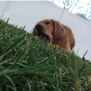 Meet your Posher, Kari